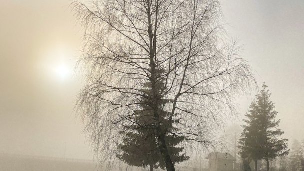 Chata Ester Oravská Priehrada Námestovo 32