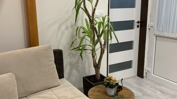 Apartmány Cukor 68 a Andrea Poprad 11