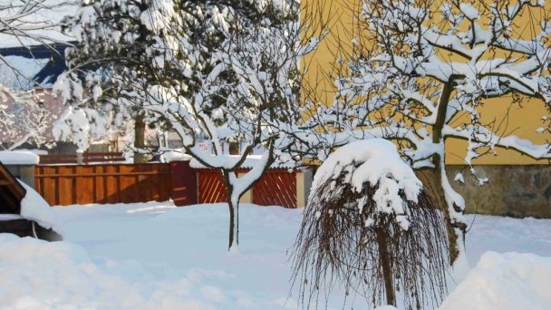 Chalupa Ninka Ľubeľa 12