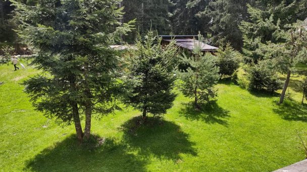 Chatka 469 Lazisko 11