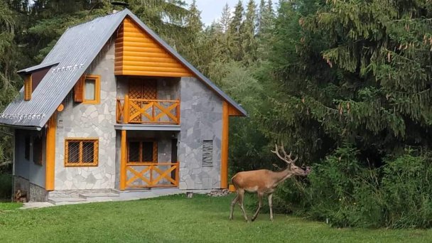 Chata Tatry Tatranská Štrba 32
