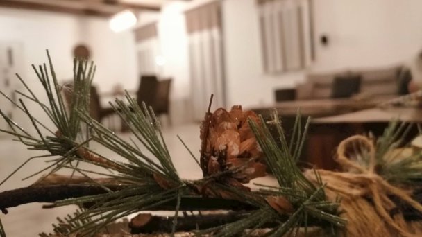 Vila Svišťovka Stará Lesná 25