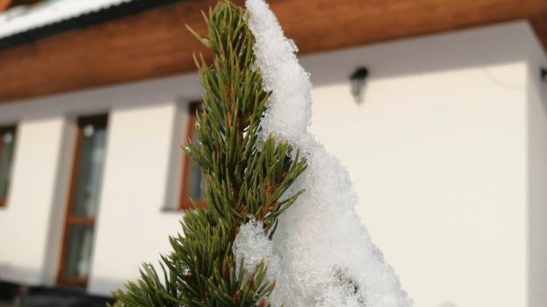 Vila Svišťovka Stará Lesná 7