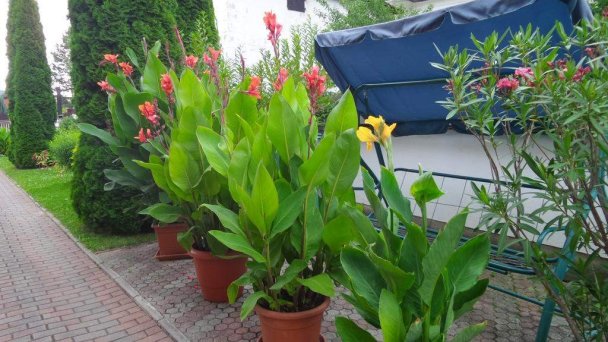 Apartmán pri zámočku Bešeňová 14
