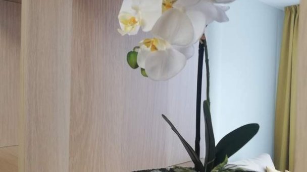 Apartment MyMara No. 3 Bešeňová 45