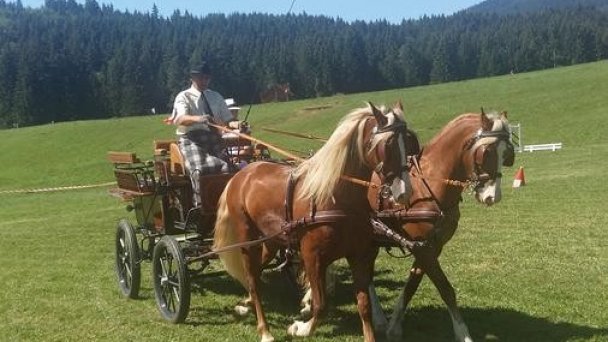 Apartmány Danka Pavčina Lehota 8 Apartmány Danka Pavčina Lehota 8