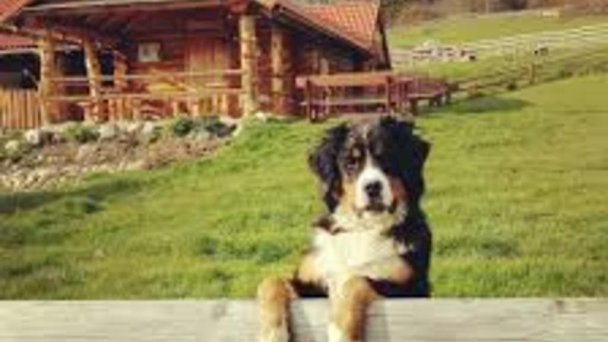 Apartmány Pod horou Pavčina Lehota 9