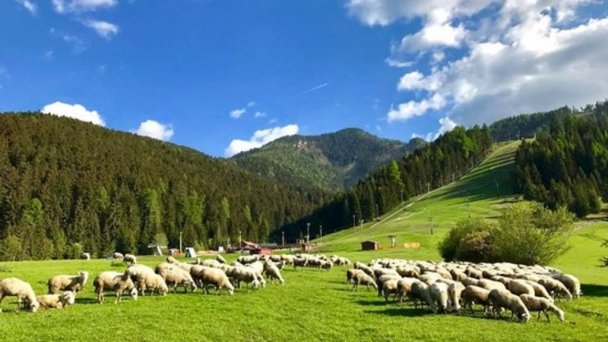 Apartmány Pod horou Pavčina Lehota 8