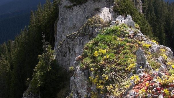 Privát Severka Pavčina Lehota 17