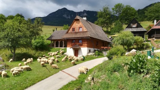 Drevenice pod Rozsutcom Zázrivá 41