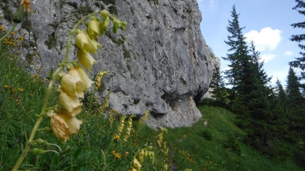 Privát Prima Podtureň 18 Privát Prima Podtureň 18