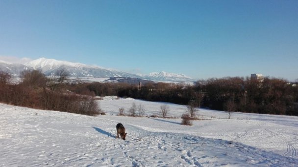 Apartmán 133 Liptovský Mikuláš 13