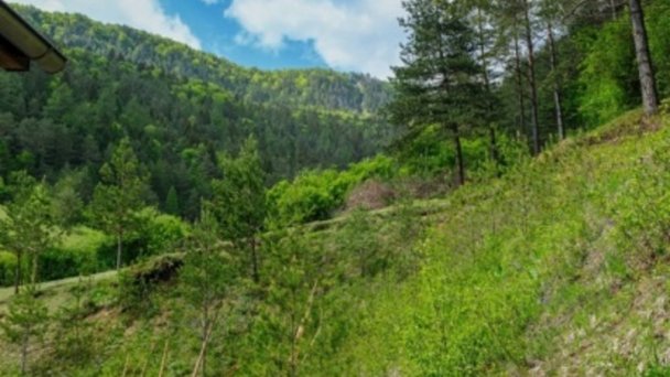 Chata Janka Švošov 24 Chata Janka Švošov 24