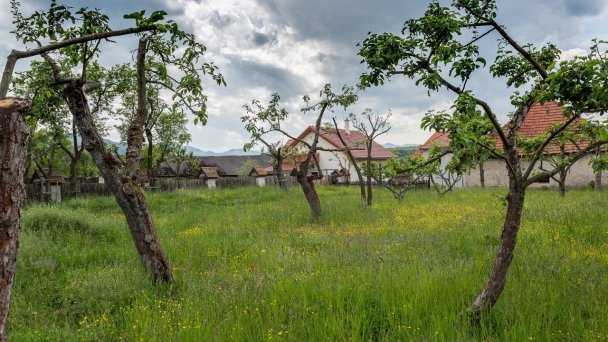 Villa Lypche Partizánska Ľupča 20