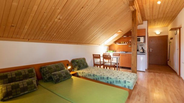 Family Apartments Donovaly 9