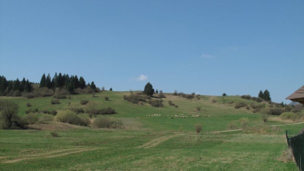 Drevenica Lúčny hríb Liptovská Štiavnica 17