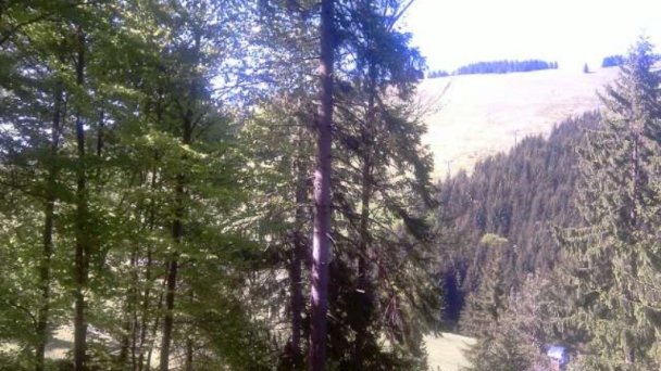 Chata u Sovičky Malinô Brdo Hrabovo - Ružomberok 89
