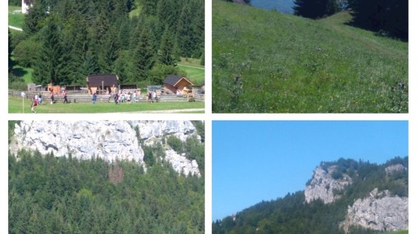 Chata u Sovičky Malinô Brdo Hrabovo - Ružomberok 103