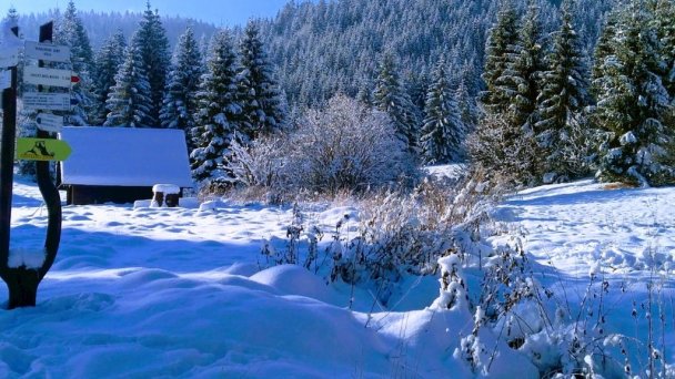 Chata u Sovičky Malinô Brdo Hrabovo - Ružomberok 125