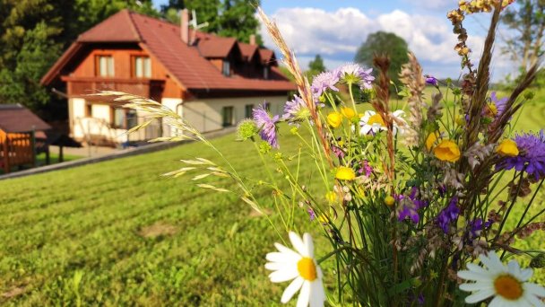 Apartmánový dom Dorota Ižipovce 31 Apartmánový dom Dorota Ižipovce 31