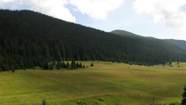 Drevenica Mak Kvačany 16