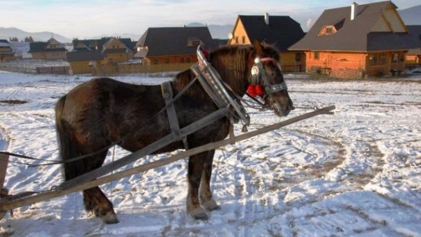 Chalúpkovo Liptovská Štiavnica 110