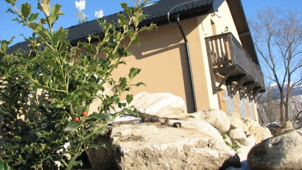 U divokej včely Ižipovce 20