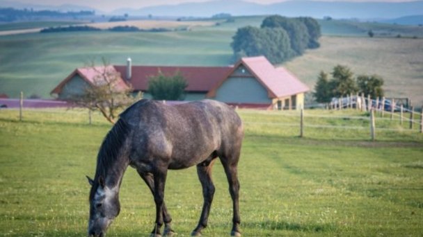 Apartmány Ranč Košťany nad Turcom 61