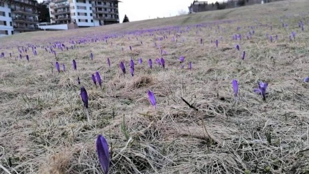 Apartmán Triangel A10 Donovaly 11