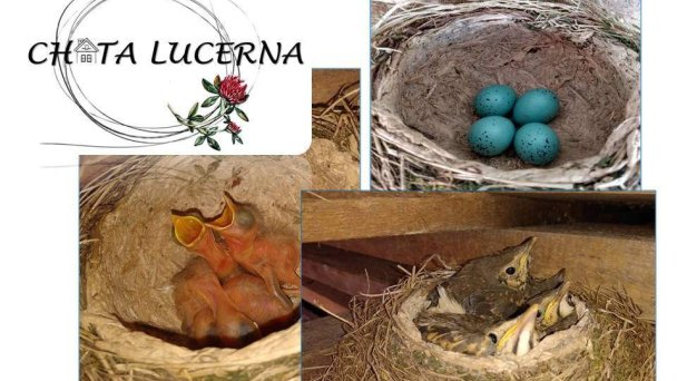 Chata Lucerna Hrušovo 15