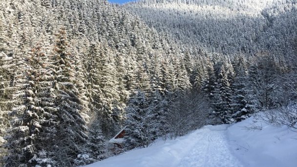 Chata Šedá užovka Magurka Partizánska Ľupča 14