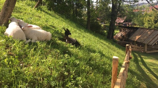 Chata Penzión Škerda Zuberec 41 Chata Penzión Škerda Zuberec 41