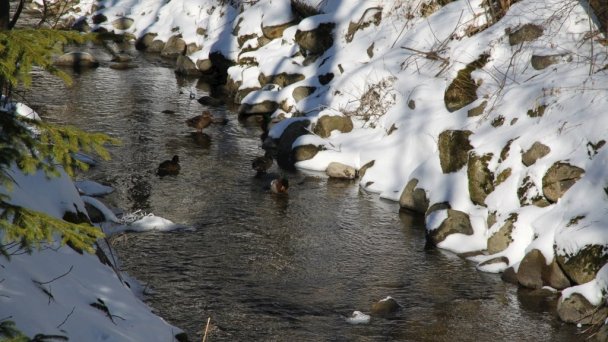 Chata Penzión Škerda Zuberec 62 Chata Penzión Škerda Zuberec 62