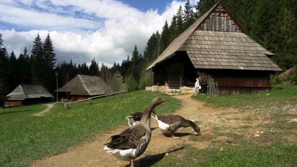 Chata Penzión Škerda Zuberec 118 Chata Penzión Škerda Zuberec 118