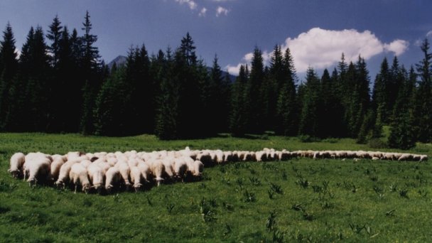Chata Penzión Škerda Zuberec 123 Chata Penzión Škerda Zuberec 123