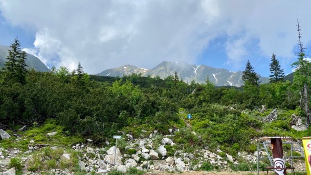 Luxusná Drevenica Zuberec 15