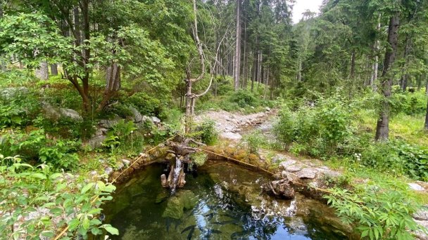 Luxusná Drevenica Zuberec 43