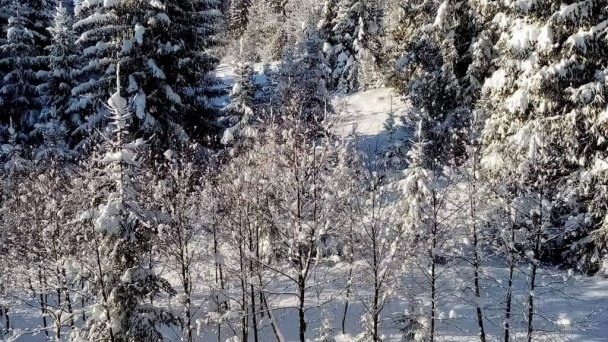 Drevenica Goral Oravská Lesná 9