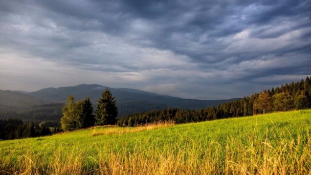 Chata pod Jaseňom Oravská Lesná 21