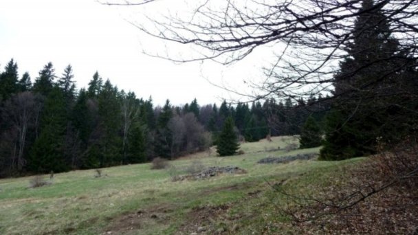Ubytovanie u Heleny Hriňová 42