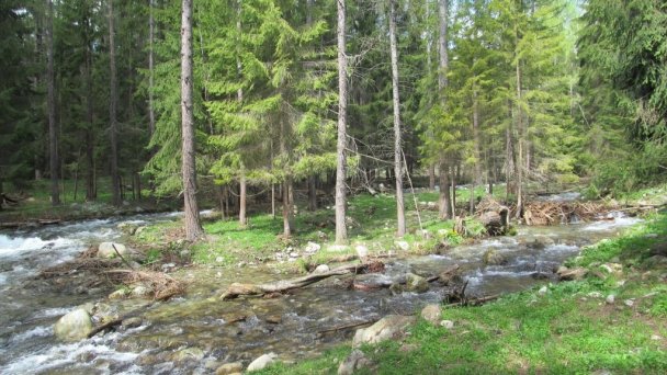 Horská chata Žiaranka Žiar 51