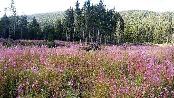 Horská chata Žiaranka Žiar 52