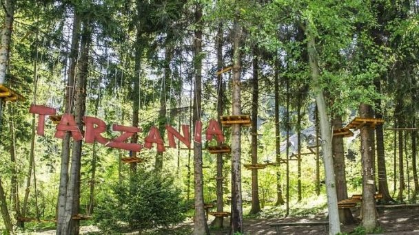 Chatka v lese Ružomberok 41