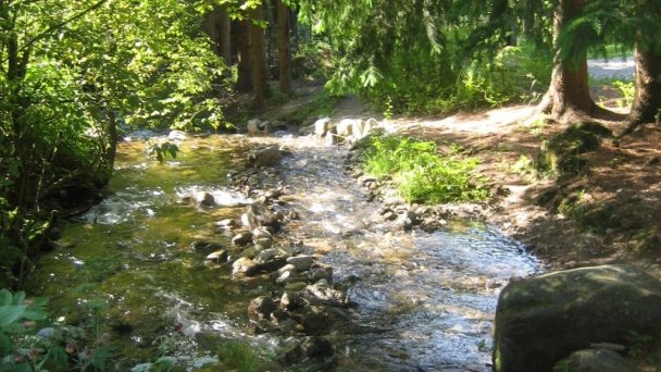 Chata pod Smrekovicou Ružomberok 66