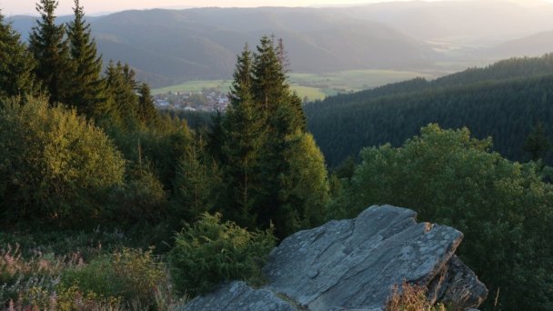 Privát Drevenica Šumiac 28