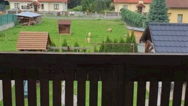 Penzión Ďubo Liptovský Mikuláš Demänová 72 Penzión Ďubo Liptovský Mikuláš Demänová 72