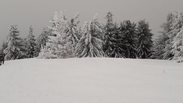 Chata Čučoriedka Jasenská dolina Belá - Dulice 23