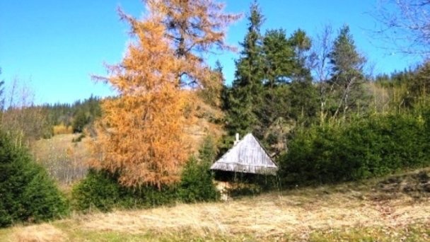 Penzión u Aleny Ždiar 15 Penzión u Aleny Ždiar 15