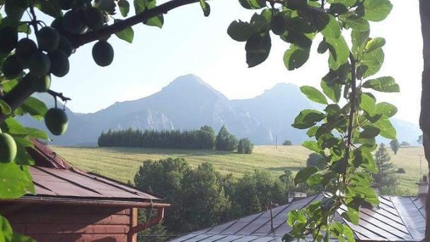 Chalúpka u babičky Ždiar 31