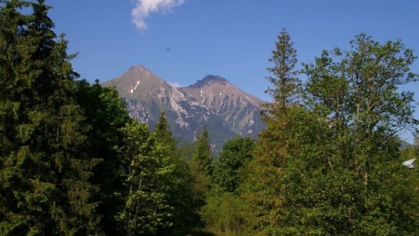 Penzión Javor Ždiar 65 Penzión Javor Ždiar 65
